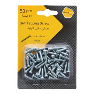 Honeybee 50-Piece Self Tapping Screw Silver 4 x 16mm